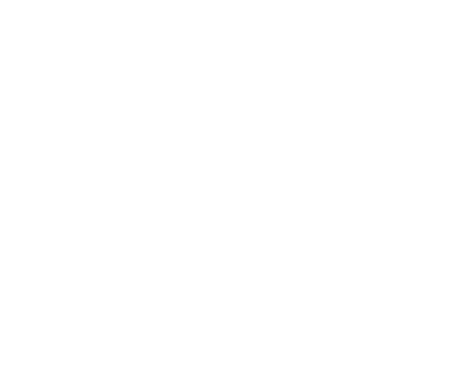 LOGO WHITE - Pentagon Holdings